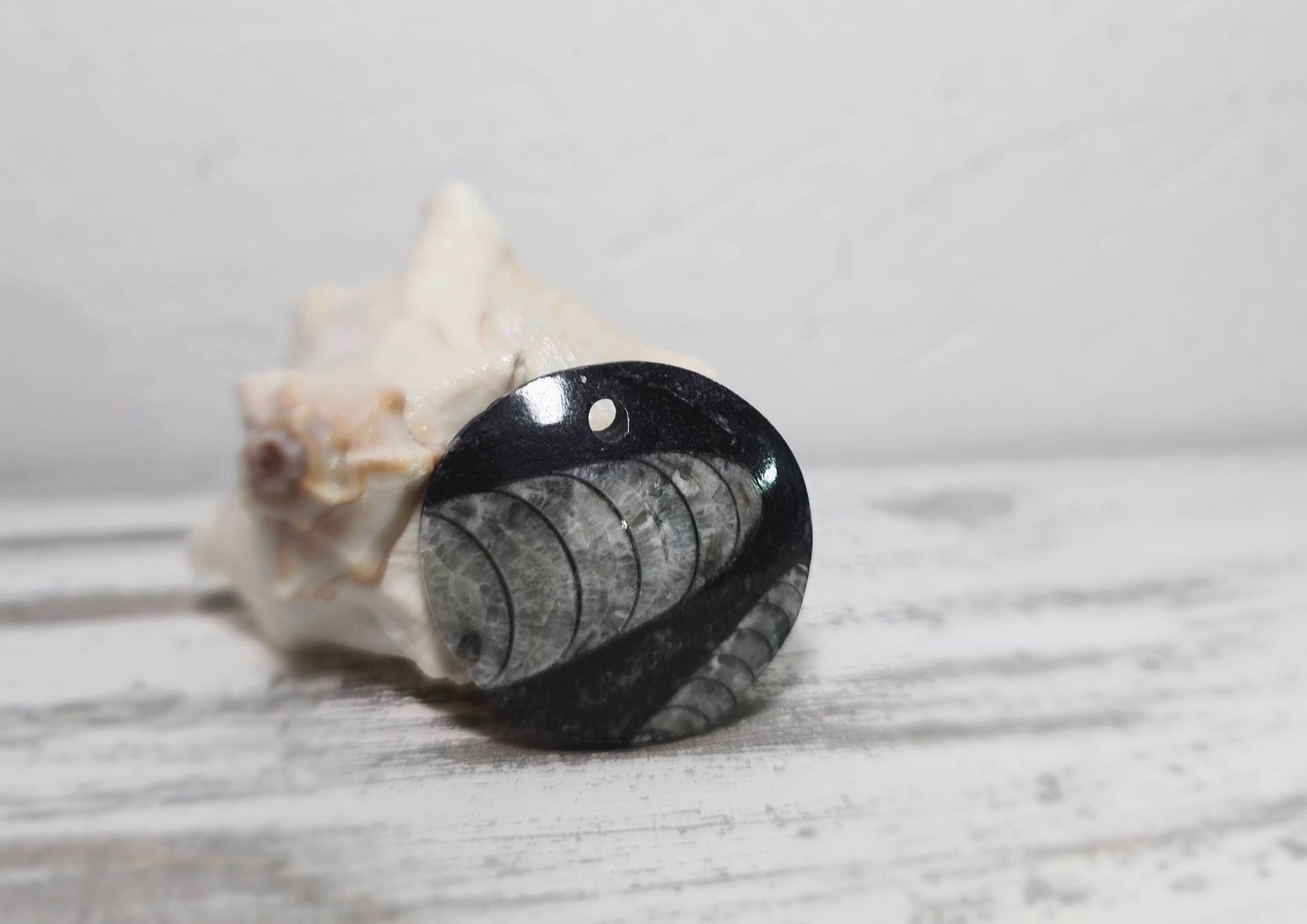 Fossilien Anhänger Orthoceras - Edelstein Schmuck | Heilstein Geologie Mineral Versteinerung Herzgöttin Fossilien Anhänger Orthoceras - Edelstein Schmuck | Heilstein Geologie Mineral Versteinerung Herzgöttin von Herzgoettin