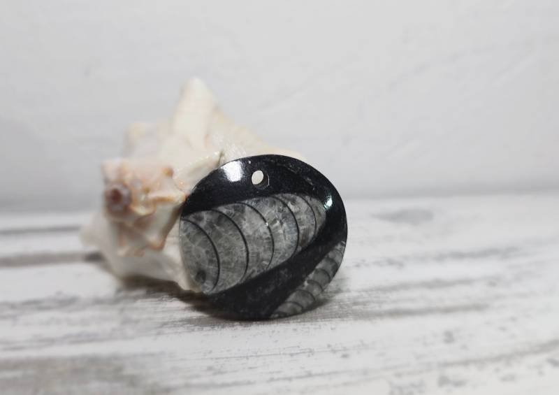 Fossilien Anhänger Orthoceras - Edelstein Schmuck | Heilstein Geologie Mineral Versteinerung Herzgöttin Fossilien Anhänger Orthoceras - Edelstein Schmuck | Heilstein Geologie Mineral Versteinerung Herzgöttin von Herzgoettin