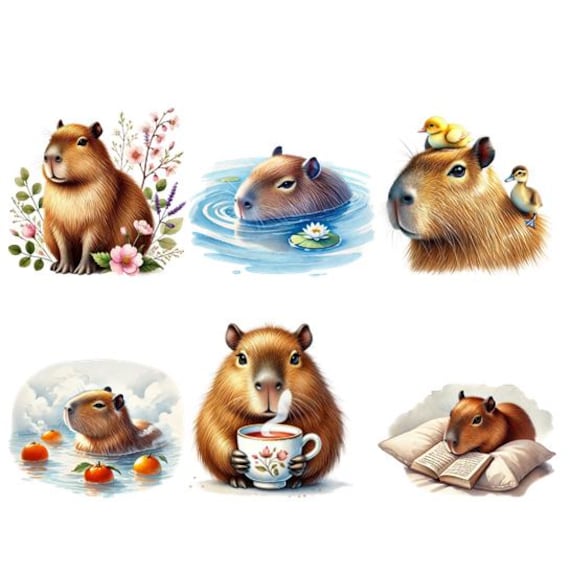 Bügelbild Bügelmotiv Capybara Tier Wasserschein Junge Mädchen Verschiedene Größen von HeupelStore