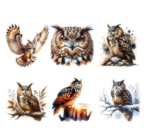 Bügelbild Bügelmotiv Eule Uhu Wald Junge Mädchen Verschiedene Größen von HeupelStore