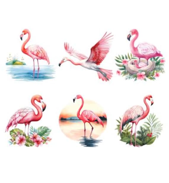 Bügelbild Bügelmotiv Flamingo Vogel Junge Mädchen Verschiedene Größen von HeupelStore