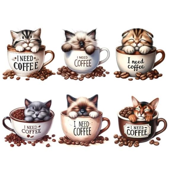 Bügelbild Bügelmotiv Katze Kaffee Tier Junge Mädchen Verschiedene Größen von HeupelStore