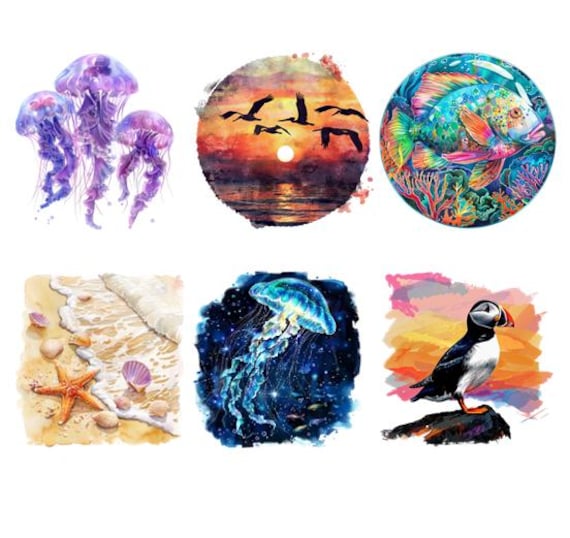 Bügelbild Bügelmotiv Meerestiere Meer Ozean Fisch Orca Pinguin Hai Junge Mädchen Verschiedene Größen von HeupelStore