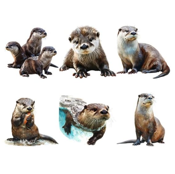 Bügelbild Bügelmotiv Otter Tier Wasser Junge Mädchen Verschiedene Größen von HeupelStore