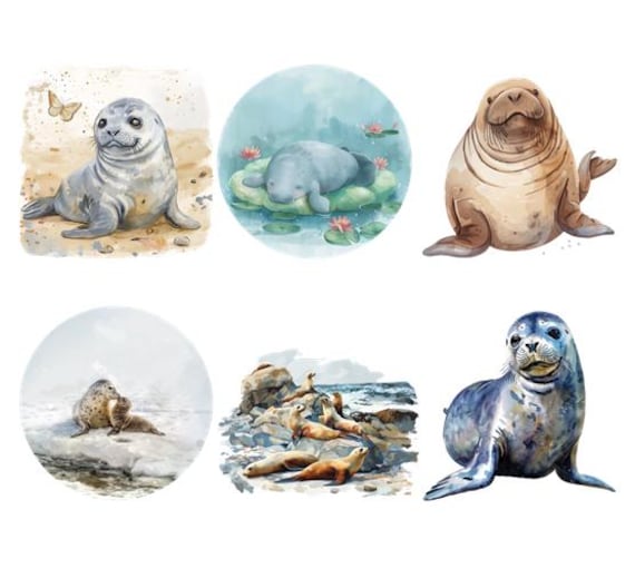 Bügelbild Bügelmotiv Robbe Seekuh Meer Ozean Junge Mädchen Verschiedene Größen Bügelbild Bügelmotiv Robbe Seekuh Meer Ozean Junge Mädchen Verschiedene Größen von HeupelStore