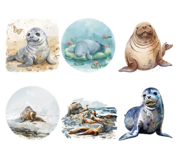 Bügelbild Bügelmotiv Robbe Seekuh Meer Ozean Junge Mädchen Verschiedene Größen Bügelbild Bügelmotiv Robbe Seekuh Meer Ozean Junge Mädchen Verschiedene Größen von HeupelStore