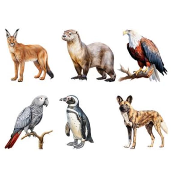 Bügelbild Bügelmotiv Tier Afrika Safari Big 5 Löwe Affe Adler Gepard Junge Mädchen Verschiedene Größen Bügelbild Bügelmotiv Tier Afrika Safari Big 5 Löwe Affe Adler Gepard Junge Mädchen Verschiedene Größen von HeupelStore