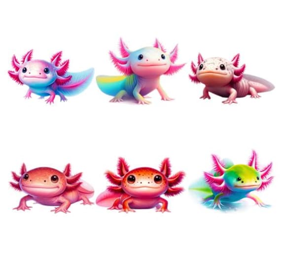 Bügelbild Bügelmotiv Tier Axolotl Molch Junge Mädchen Verschiedene Größen Bügelbild Bügelmotiv Tier Axolotl Molch Junge Mädchen Verschiedene Größen von HeupelStore