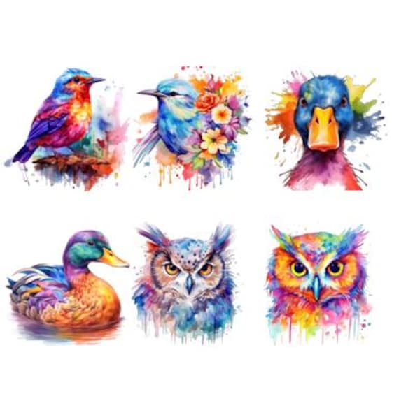 Bügelbild Bügelmotiv Tier Bunt Vogel Ente Hahn Eule Papagei Junge Mädchen Verschiedene Größen von HeupelStore