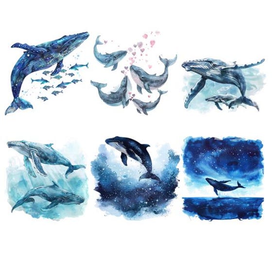 Bügelbild Bügelmotiv Wal Buckelwal Meer Ozean Junge Mädchen Verschiedene Größen von HeupelStore