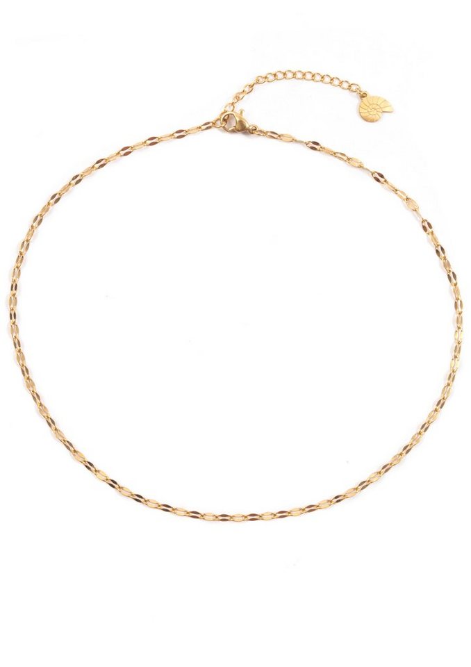 Hey Happiness Choker Rolo Edelstahl Halskette ohne Anhänger kurz, Halsband 18K Gold Roségold, Damen Kette Choker, delikat, wasserfest von Hey Happiness