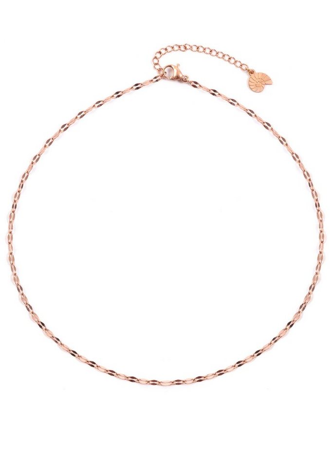 Hey Happiness Choker Rolo Kette Damen, Kurze Edelstahl Halskette ohne Anhänger, wasserfest von Hey Happiness