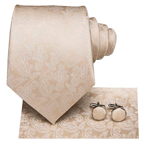 Hi-Tie Champagner Paisley Krawatte Gewebte Seidenkrawatte Beige für Hochzeit mit Einstecktuch Manschettenknöpfe von Hi-Tie