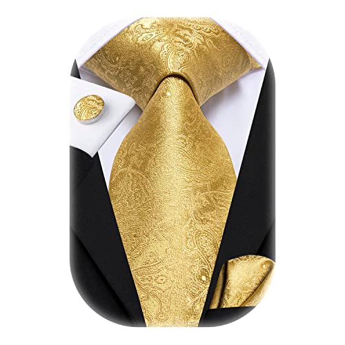 Hi-Tie Herren Krawatte Schwarz Paisley/Plaid/Streifen/Einfarbig Krawatten Set Einstecktuch Manschettenknöpfe Business Formal Hochzeit Meeting Geschenkbox,goldenes Paisley von Hi-Tie