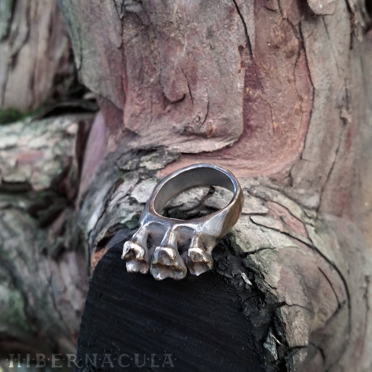 Allesfresser Zahn Ring in Bronze Oder Silber Allesfresser Zahn Ring in Bronze Oder Silber von Hibernacula
