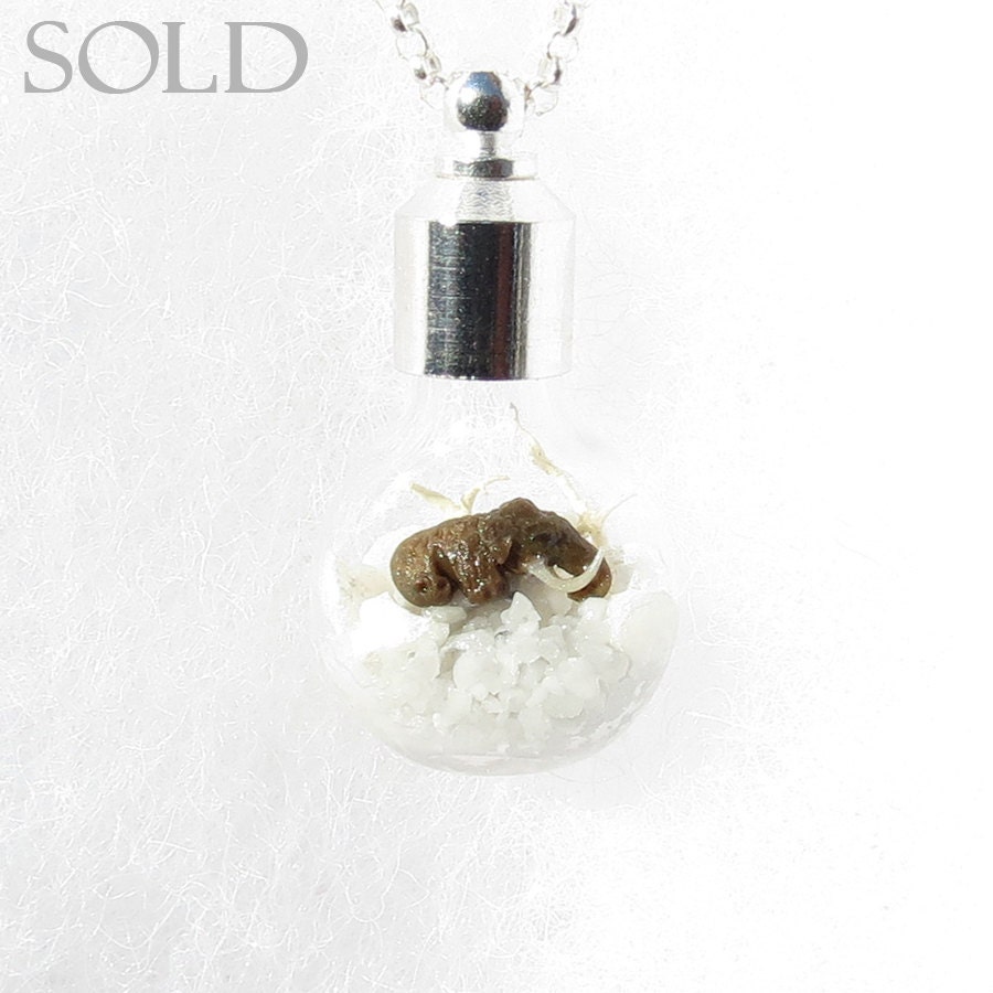 Halskette, Halskette Mit Wollmut, Von Hieropice, Handmodellierte Miniatur, Geschenk Für Tierliebhaber, Personalisierter Schmuck Halskette, Halskette Mit Wollmut, Von Hieropice, Handmodellierte Miniatur, Geschenk Für Tierliebhaber, Personalisierter Schmuck von Hieropice