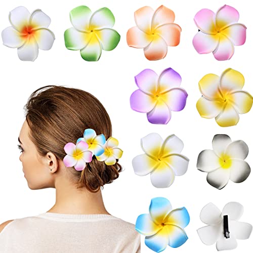HIFOT 9 Stücke Hawaii Bunte Haarspangen Damen, Blume Haarklammern Mädchen, Frangipani Haarclips Kinder Blume Haarschmuck für Frauen Party Haarstyling Haarnadeln Hochzeit Haar Accessoire von Hifot