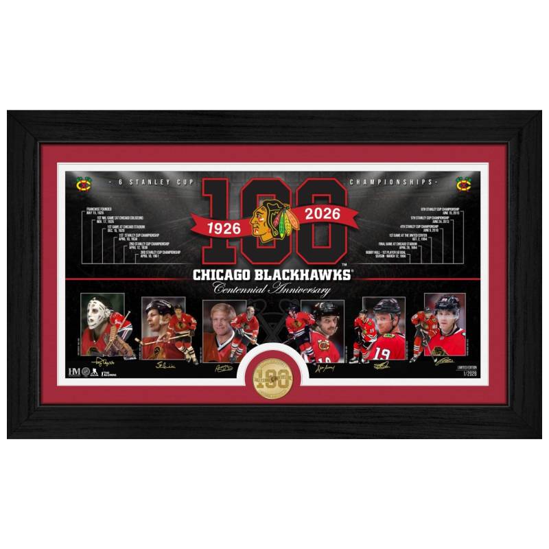 Chicago Blackhawks 100th Anniversary Bronze Coin Bild Rahmen von Highland Mint
