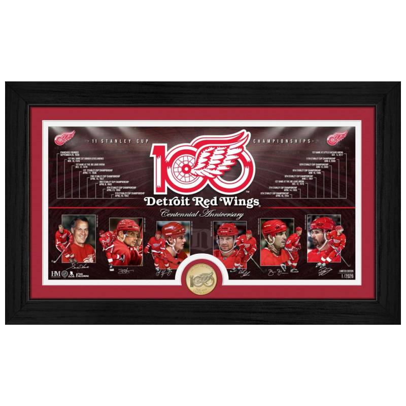 Detroit Red Wings 100th Anniversary Bronze Coin Bild Rahmen von Highland Mint