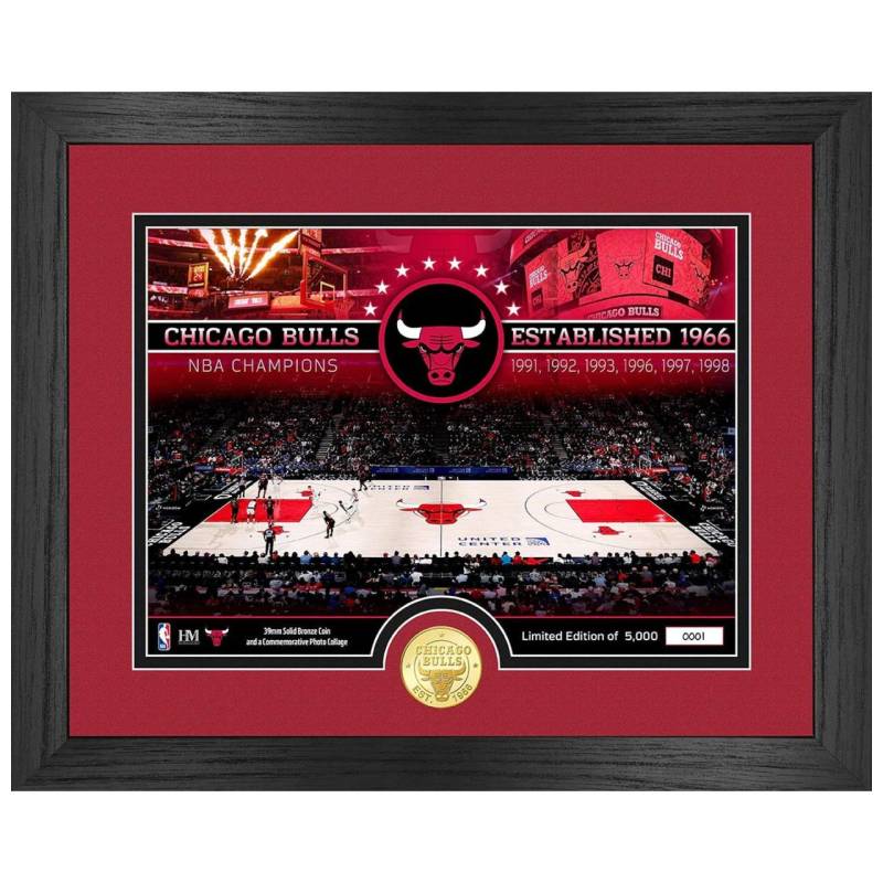 NBA Chicago Bulls Court Coin Bild von Highland Mint