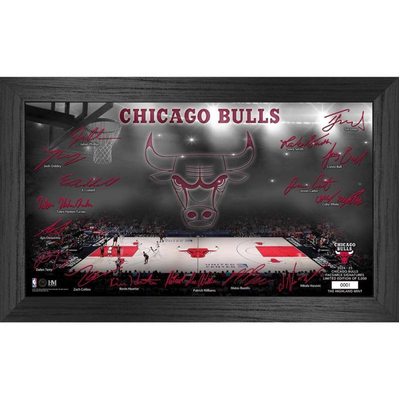 NBA Chicago Bulls Signature Court Coin Bild von Highland Mint