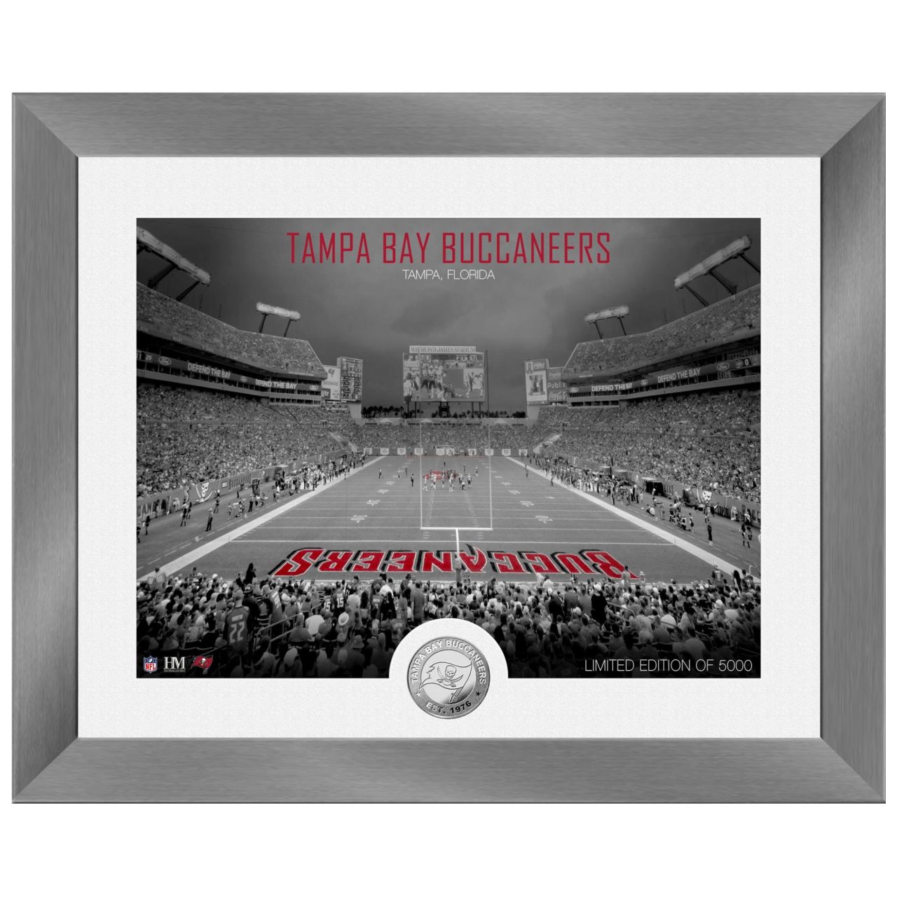 Tampa Bay Buccaneers NFL Stadion Silber Coin Bild 40x33cm von Highland Mint