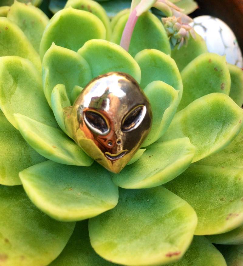 Alien-Ring Maßgeschneidert Auf Bestellung Alien-Ring Maßgeschneidert Auf Bestellung von Highwaygold