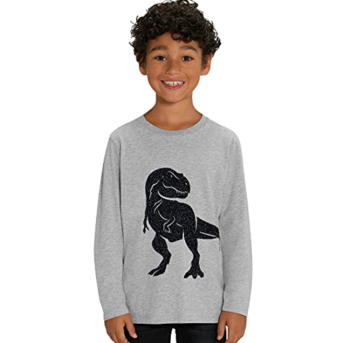 Hilltop Kinder Langarmshirt aus Biobaumwolle mit Dinosaurier Glitzer Motiv, Size:134/146, Dino:Grey-Dino Black von Hilltop