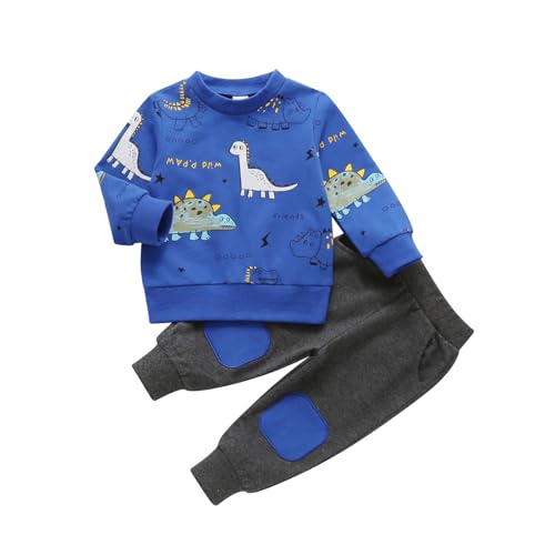 Himllauen Baby Jungen Kleidung Pullover mit Dinosaurier-Muster + Hose Zweiteiler Babykleidung Neugeborene Set 0-4 Jahre Kleinkind Outfit (04&Blau, 18-24 Months) von Himllauen