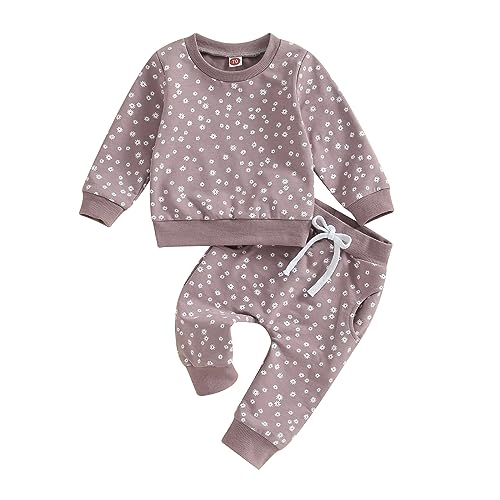 Himllauen Baby Mädchen Kleidung Sweatshirt + Lange Hose Zweiteiler Babykleidung Set 0-3 Jahre Kleinkind Outfits (D Lila, 6-12 Months) von Himllauen