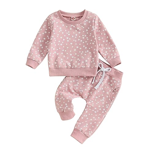 Himllauen Baby Mädchen Kleidung Sweatshirt + Lange Hose Zweiteiler Babykleidung Set 0-3 Jahre Kleinkind Outfits (D Rosa, 12-18 Months) von Himllauen