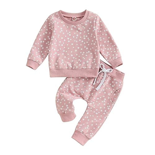 Himllauen Baby Mädchen Kleidung Sweatshirt + Lange Hose Zweiteiler Babykleidung Set 0-3 Jahre Kleinkind Outfits (D Rosa, 2-3 Years) von Himllauen