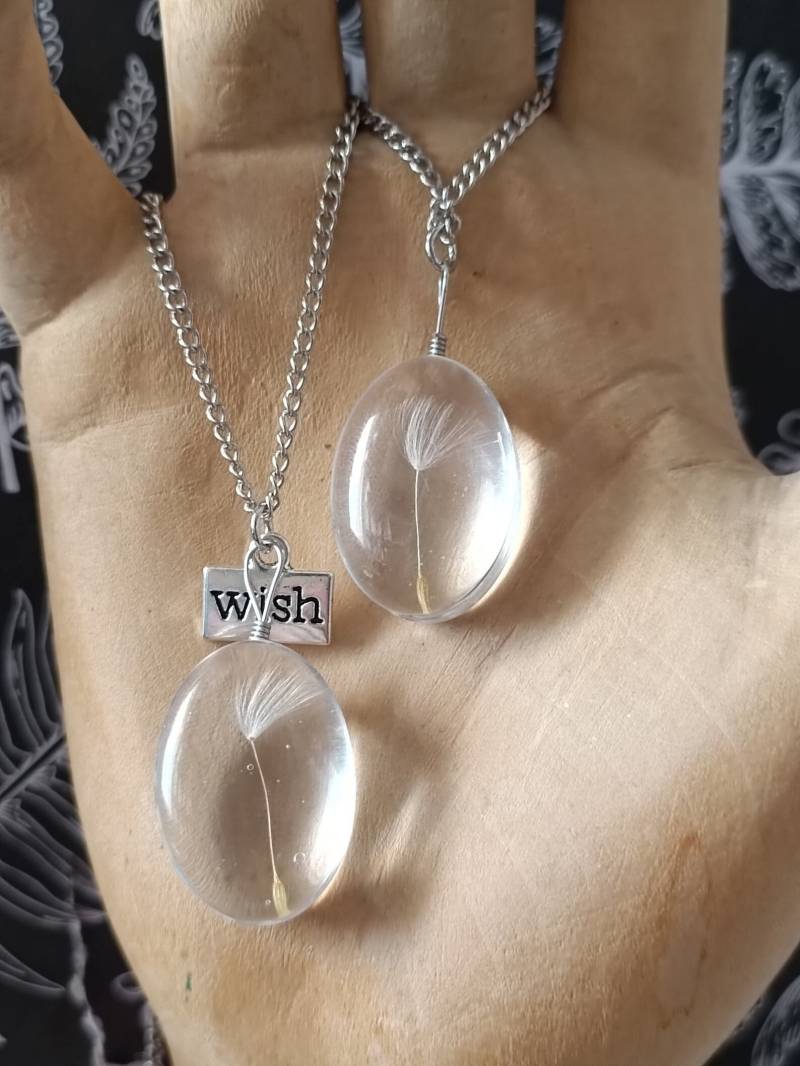 Kette Mit Echter Pusteblume von Himmelswandler