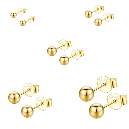Hinvan 5 Paare Runde Kugel Ohrstecker Silber 925 Damen 925 Sterling Silber Ohrringe Set Hypoallergene Kugel Ohrringe Gold Herren Klein Gold Ohrstecker Für Damen Mädchen Männer 2-6 MM von Hinvan