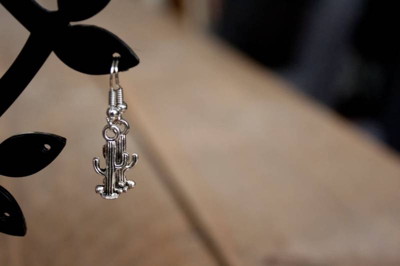 Kaktus, Flamingo, Ananas, Spotthäher, Rautenförmige Ohrringe von HipvanWol