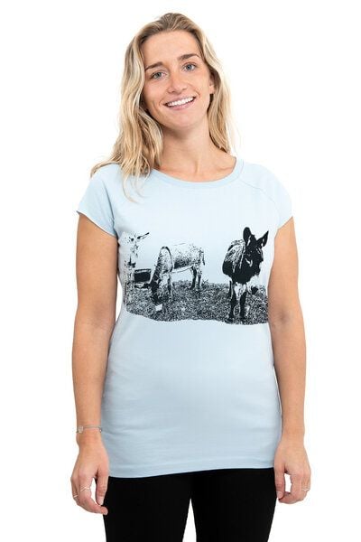 Hirschkind Fair-Trade-Frauenshirt mit Raglanärmeln "Eselcombo" - Made in Kenia - hellgrau von Hirschkind