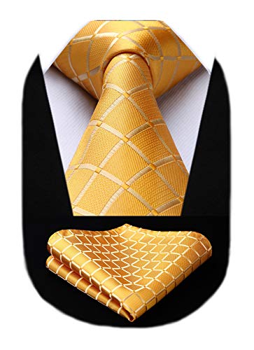 HISDERN Herren Krawatte Taschentuch Check Krawatte & Einstecktuch Set von HISDERN