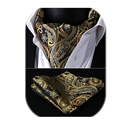 HISDERN Krawattenschal Gold Herren Paisley Hochzeit Ascot Krawatte Taschentuch Business Blumen Halstuch und Einstecktuch Set von HISDERN