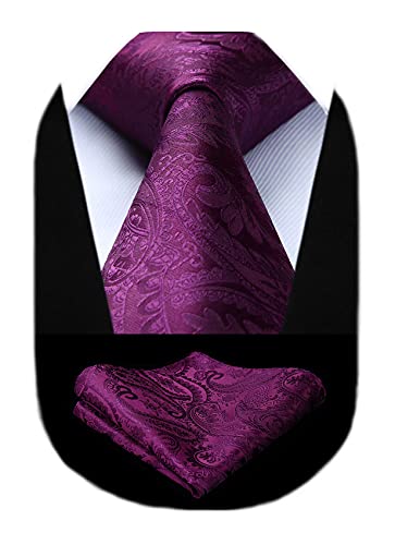 HISDERN Herren Hochzeit Lila Krawatten und Einstecktuch Klassisch Paisley Krawattensatz fur Manner von HISDERN