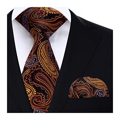 HISDERN Krawatten für Herren Hochzeit Paisley Krawatten Taschentuch Blumen Elegant Klassisch Krawatte & Einstecktuch Set von HISDERN