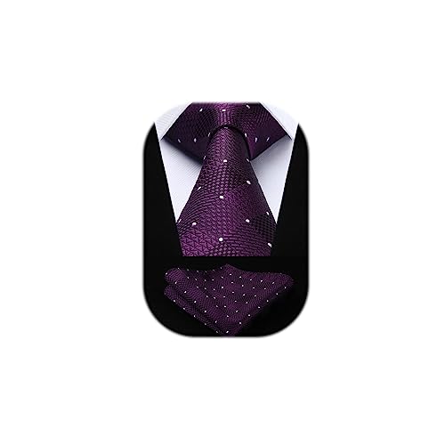 HISDERN Herren Krawatte Taschentuch Check Krawatte & Einstecktuch Set Lila und Weiß von HISDERN
