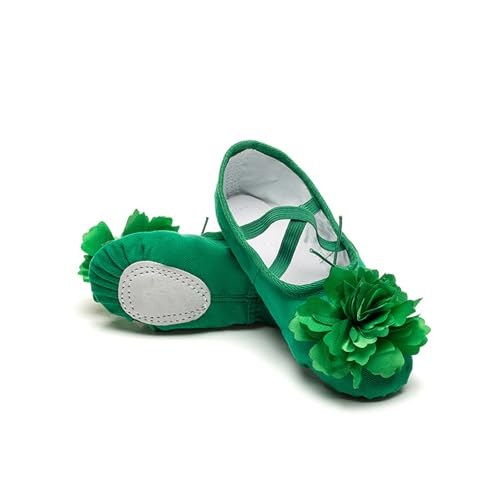 Hixingo Ballettschuhe Damen Geteilte Sohle, Ballettschläppchen Damen-Tanzschuhe Flach Trainings Gymnastikschuhe für Erwachsene Trainings Schläppchen (Grüne Blumen,40) von Hixingo