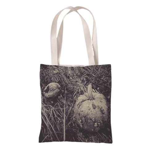 Hixingo Strandtasche Leinwand Groß Damen Herren, Strandtasche Faltbar XXL Familie Badetasche Leichte, Reisen Beach Tote Bag für Strand Pool Fitnessstudio Einkaufen (37 * 33cm,Kürbis 36) von Hixingo