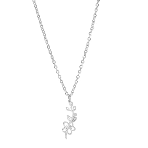 Halskette Ketten Schmuck Herren Frauen Anhänger Necklace Halskette Mit Anhänger Aus Der Kollektion „Geburtsblumen“, Exquisites Ästhetisches Geburtstagsgeschenk Für Damen, Hawthron-S von Hmsanase