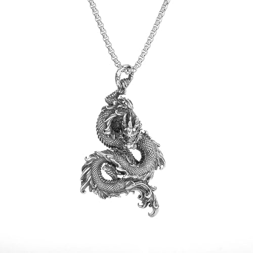 Halskette Ketten Schmuck Herren Frauen Anhänger Necklace Klassische Chinesische Art-Vorzügliche Hohle Anhänger-Halskette Für Männer-Charme-Mode-Glücks-Amulett Al13206-Silber von Hmsanase