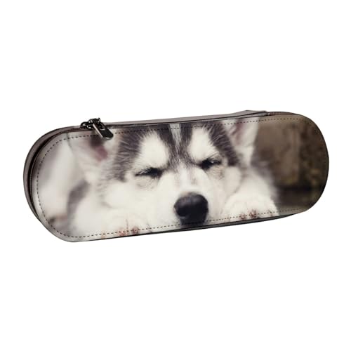 Leder-Federmäppchen-Organizer für die Aufbewahrung von Schreibwaren, Husky-Hund von Hnnkloy