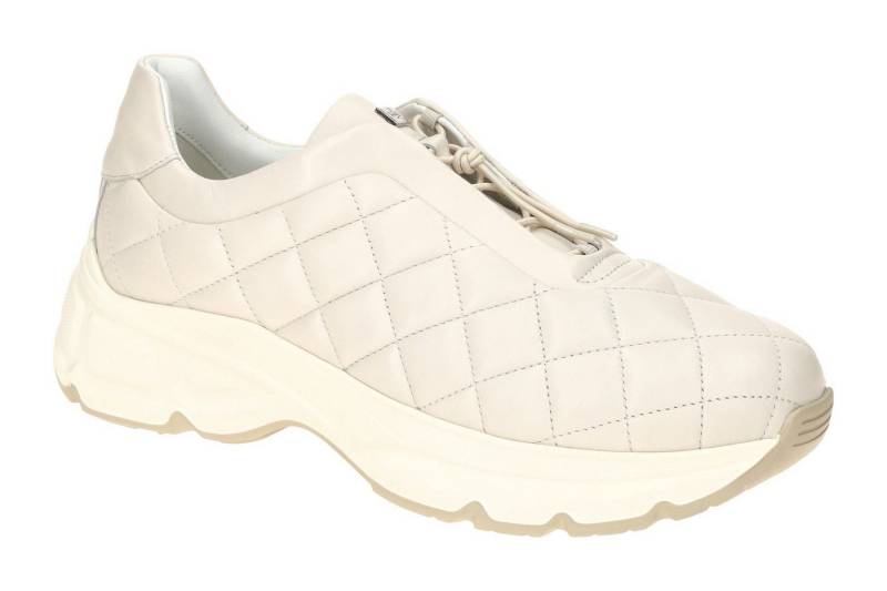 Högl 0-10 5330 1200 Schnürschuh von Högl