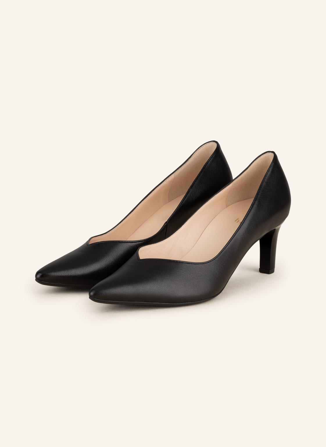 Högl Pumps Boulevard 60 schwarz von Högl