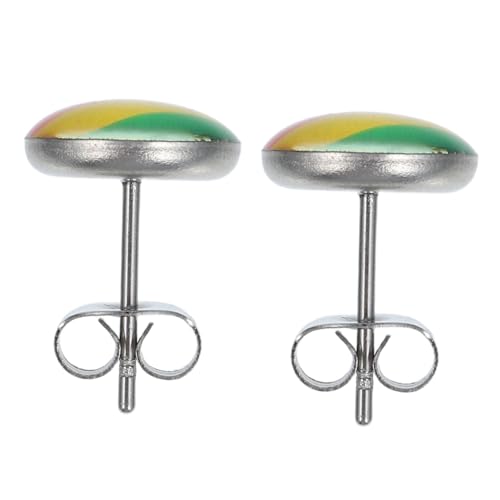 Hoement Regenbogen Ohrstecker Lgbt Pride Ohrringe Unisex Schmuck Bunte Farbohrringe Für Gay Lesbian Alltag Party von Hoement