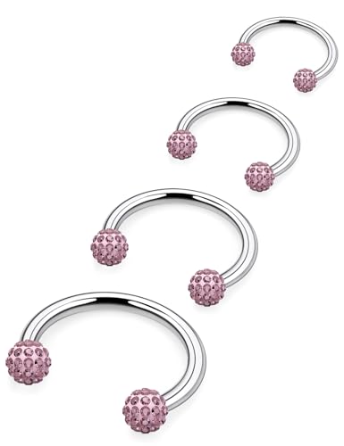 Hoeudjo Hufeisen-Nasenring aus Edelstahl, Hufeisen-Nasenring für Damen, 20 g, Doppelstecker, Nasenpiercing, Schmuck, Ring, Größe 6/8/10/12 mm, Metall, Zirkonia Hoeudjo Hufeisen-Nasenring aus Edelstahl, Hufeisen-Nasenring für Damen, 20 g, Doppelstecker, Nasenpiercing, Schmuck, Ring, Größe 6/8/10/12 mm, Metall, Zirkonia von Hoeudjo